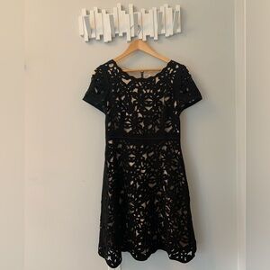 Anthropologie | Moulinette Soeurs dress | laser-cut lace | sz 10